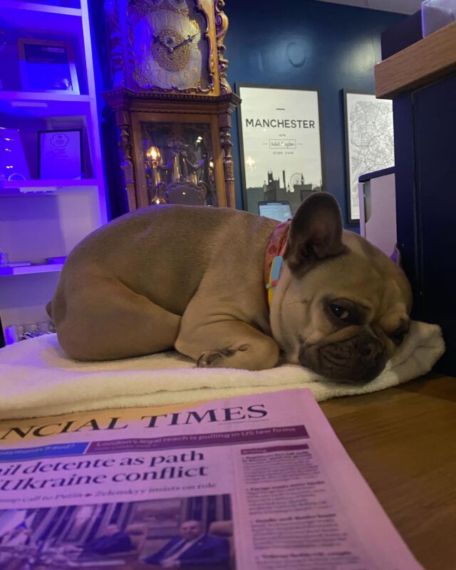 Our new receptionist is having some nap time 😴 #dogs #dogsofinstagram #dog #puppy #dogstagram #doglover #dogoftheday #doglife #doglovers #instadog #pets #puppylove #love #puppies #pet #puppiesofinstagram #dogsofinsta #cute #dogslife #petsofinstagram #cats #doggo #ilovemydog #animals #instagram #doglove #cutedogs #dogphotography #petstagram